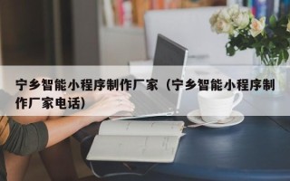 毕节宁乡智能小程序制作厂家（宁乡智能小程序制作厂家电话）